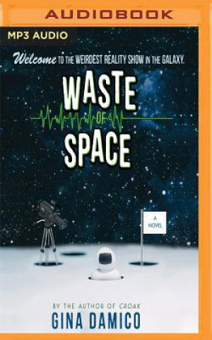 Аудио Waste of Space Gina Damico