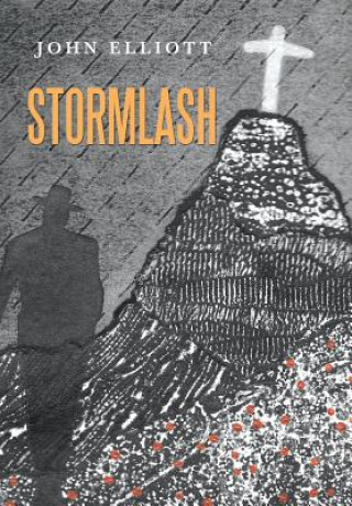 Kniha Stormlash John Elliott