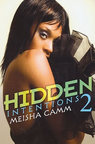 Book Hidden Intentions 2 Meisha Camm