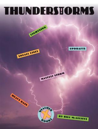 Knjiga Thunderstorms Bill McAuliffe