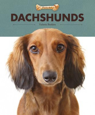 Книга Dachshunds Valerie Bodden