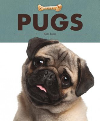 Könyv Pugs Kate Riggs