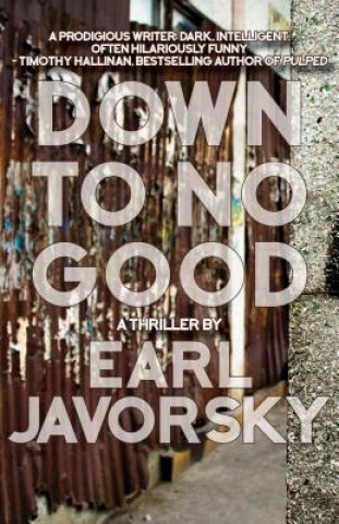 Boek Down to No Good Earl Javorsky