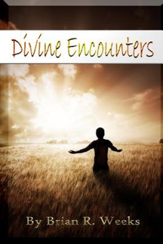 Carte Divine Encounters Brian R. Weeks