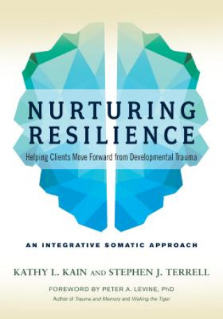 Knjiga Nurturing Resilience Kathy L. Kain
