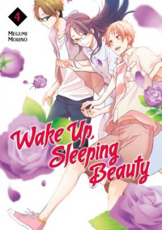 Kniha Wake Up, Sleeping Beauty 4 Megumi Morino