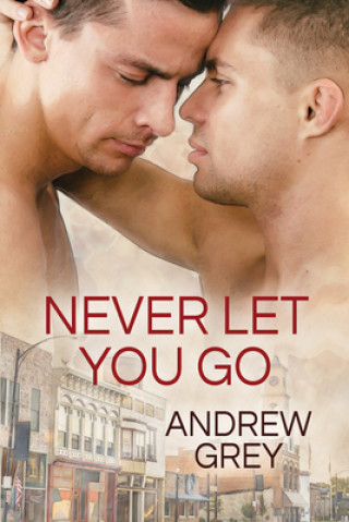 Kniha Never Let You Go Andrew Grey