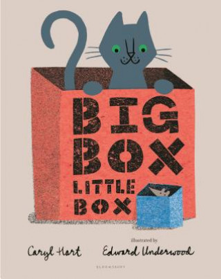 Kniha Big Box Little Box Caryl Hart