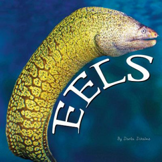 Buch Eels Darla Duhaime