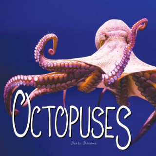 Kniha Octopuses Darla Duhaime