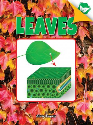 Knjiga Leaves Alicia Klepeis