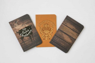 Naptár/Határidőnapló Harry Potter: Diagon Alley Pocket Journal Collection Insight Editions