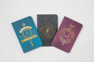 Kalendář/Diář Harry Potter: Spells Pocket Journal Collection Insight Editions