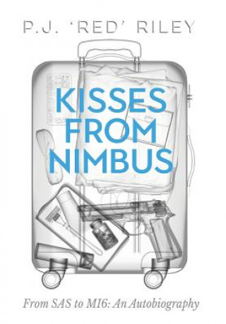 Książka Kisses from Nimbus P. J. Riley