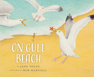 Kniha On Gull Beach Jane Yolen