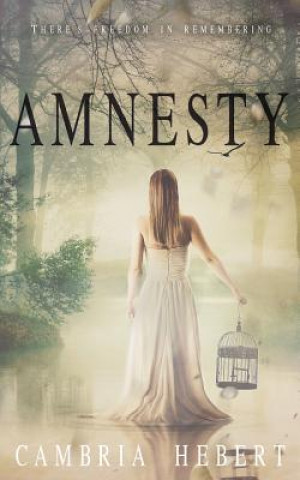 Könyv Amnesty: Amnesia Duet Book 2 Cambria Hebert