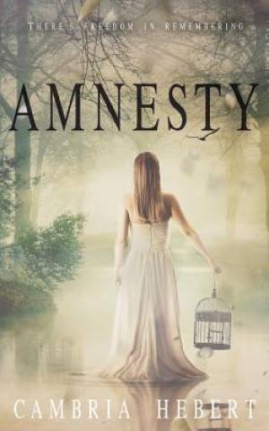 Książka Amnesty: Amnesia Duet Book 2 Cambria Hebert