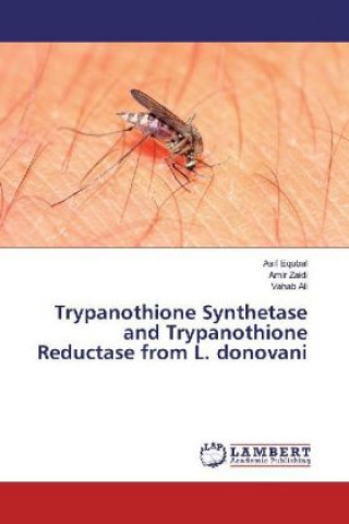 Kniha Trypanothione Synthetase and Trypanothione Reductase from L. donovani Asif Equbal