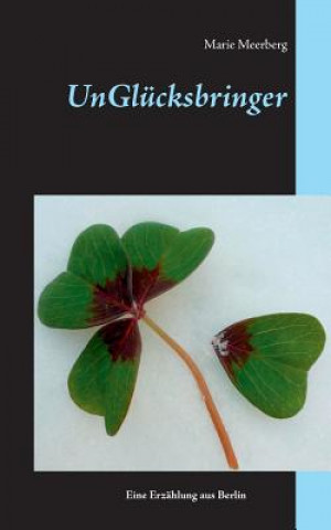 Kniha Unglucksbringer Marie Meerberg
