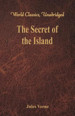 Kniha Secret of the Island Jules Verne