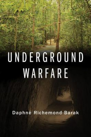 Libro Underground Warfare Richemond-Barak