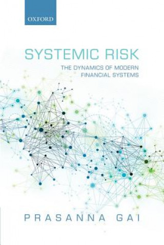 Kniha Systemic Risk Gai