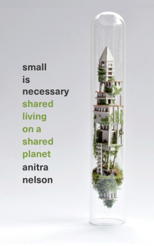 Boek Small is Necessary Anitra Nelson