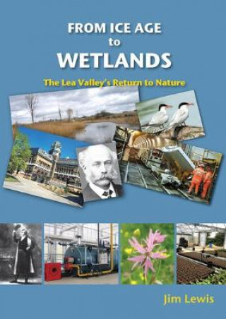 Livre From Ice Age to Wetlands Jim Lewis