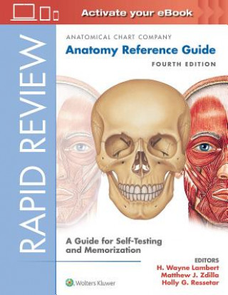 Kniha Rapid Review: Anatomy Reference Guide Anatomical Chart Company