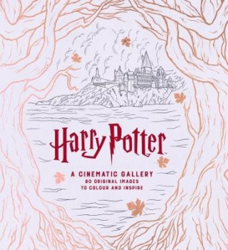 Carte Harry Potter A Cinematic Gallery J. M. Dragunas