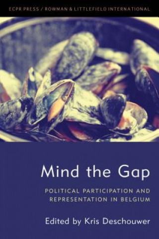 Boek Mind the Gap Kris Deschouwer