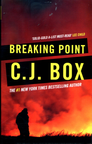 Buch Breaking Point Charles James Box