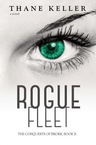 Boek Rogue Fleet Thane Keller