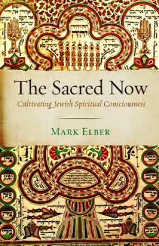Knjiga Sacred Now Mark Elber