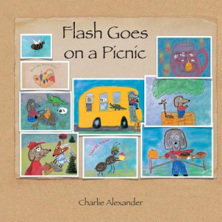 Könyv Flash Goes on a Picnic Charlie Alexander
