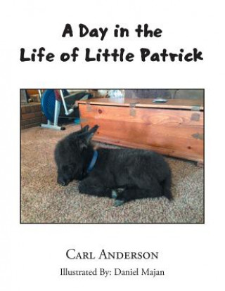 Kniha Day in the Life of Little Patrick Carl Anderson