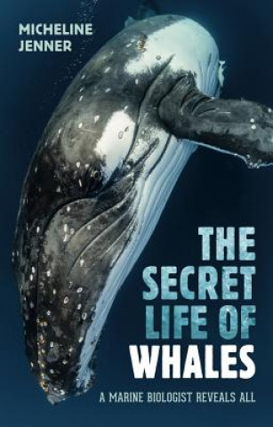 Könyv Secret Life of Whales Micheline Jenner