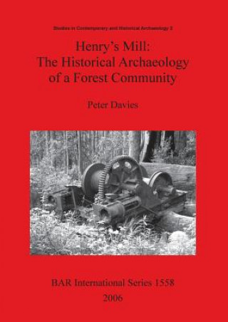 Kniha Henry's Mill: The Historical Archaeology of a Forest Community Peter Davies