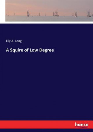 Kniha Squire of Low Degree Lily A. Long