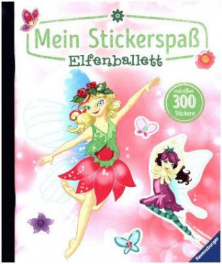 Kniha Mein Stickerspaß: Elfenballett Katja Rau