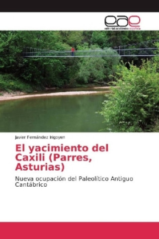 Könyv El yacimiento del Caxili (Parres, Asturias) Javier Fernández Irigoyen
