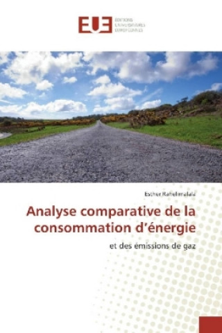 Könyv Analyse comparative de la consommation d'énergie Esther Rahelimalala