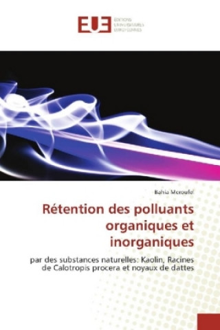 Książka Rétention des polluants organiques et inorganiques Bahia Meroufel