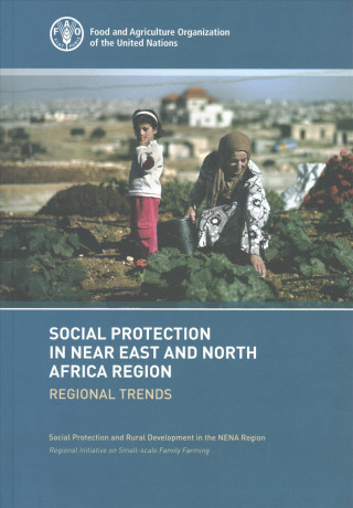 Carte Social protection in near east and north Africa region Food and Agricultural Organization