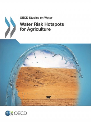 Carte Water risk hotspots for agriculture Organization For Economic Cooperation An