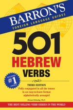 Carte 501 Hebrew Verbs Shmuel Bolozky