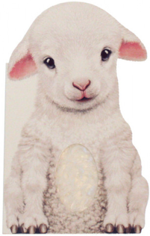 Kniha Furry Lamb Annie Auerbach