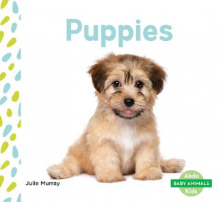 Knjiga Puppies Julie Murray