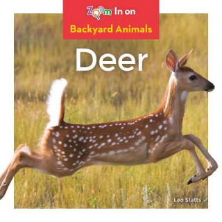 Kniha Deer Leo Statts