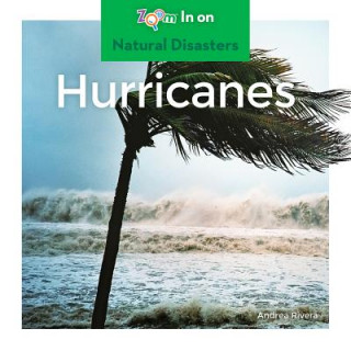 Book Hurricanes Andrea Rivera